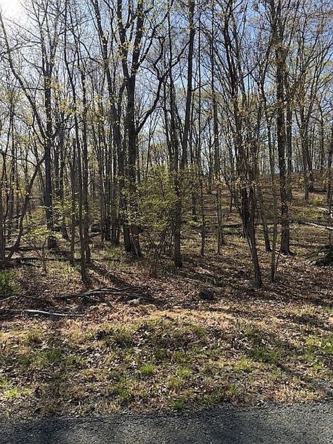 Image of 0 Dogwood Ln