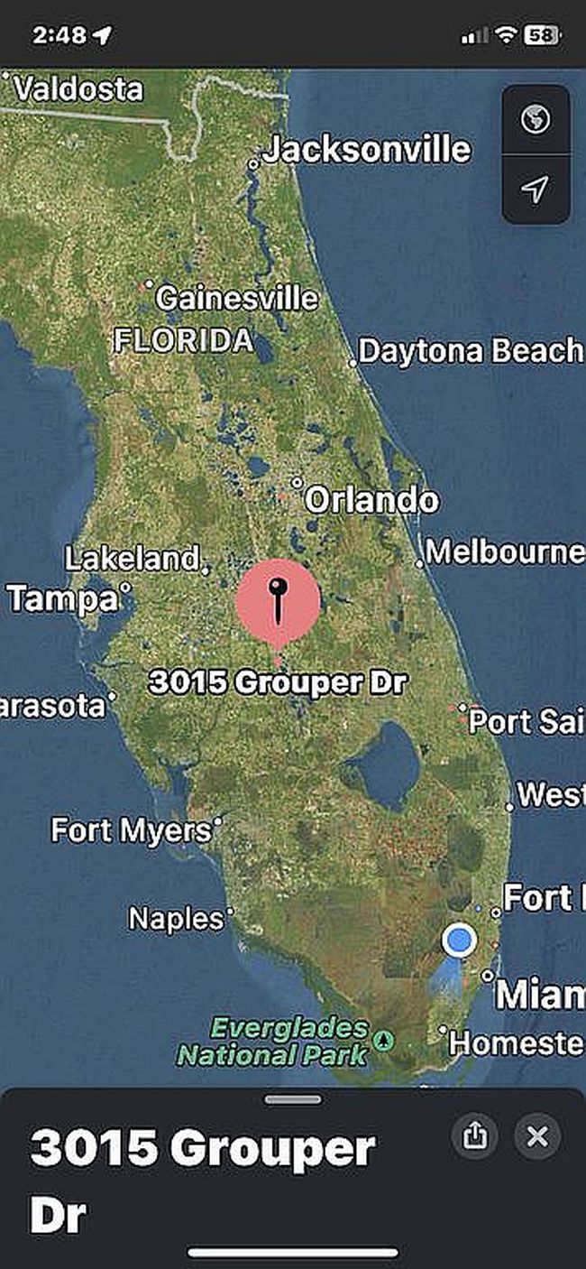 Image of 3015 Grouper Dr