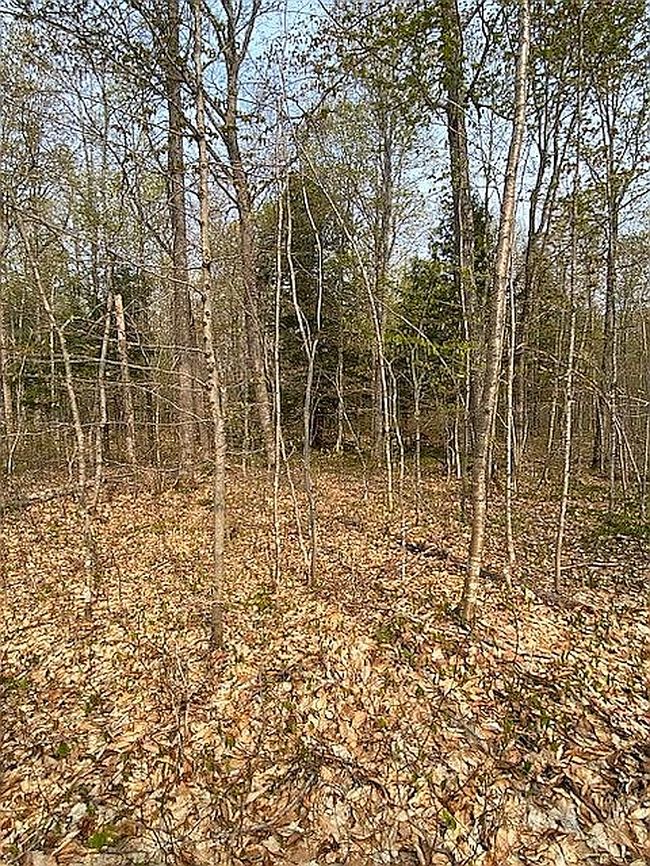 Photo of 20261 Birchwood Rd, Newberry, MI