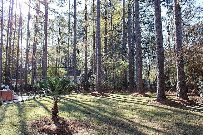 Photo of 57 Highlander, Hattiesburg, MS