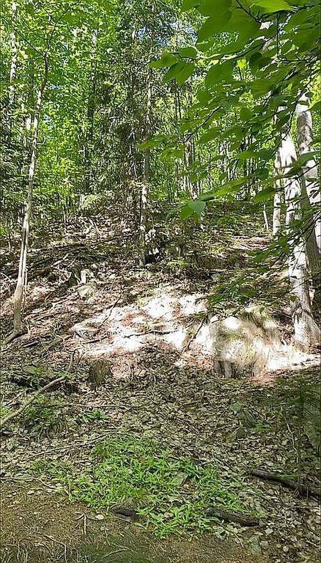 Photo of Werner St, Marquette, MI