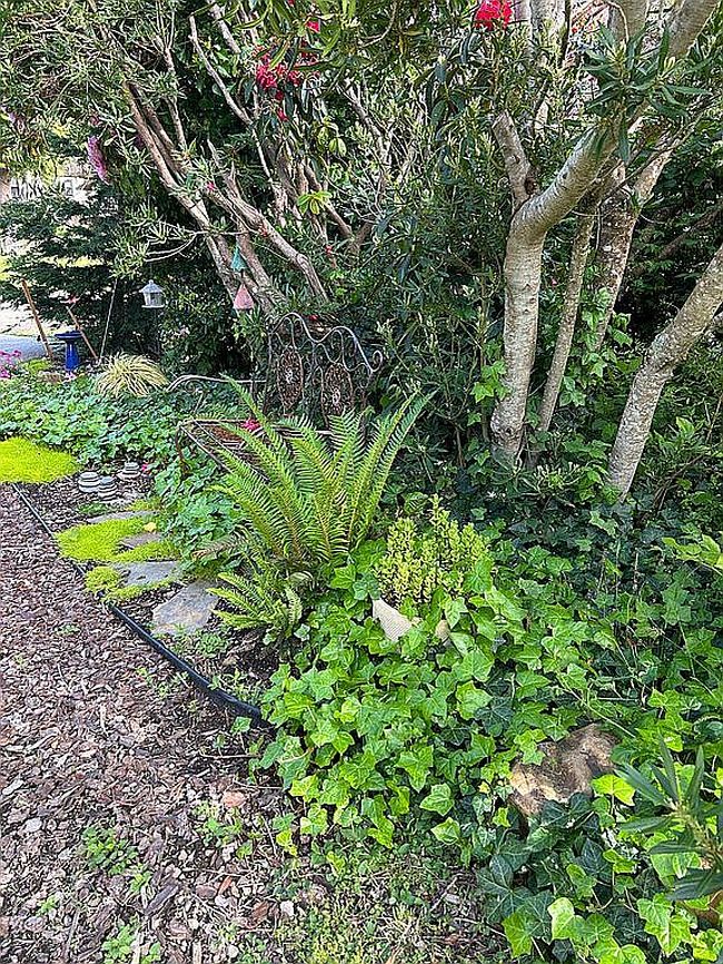 Photo of 45 Lincolnshire St, Depoe Bay, OR