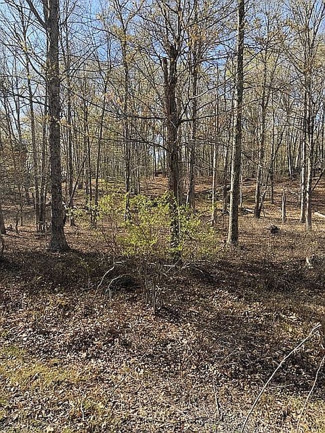 Image of 0 Blue Ridge Dr
