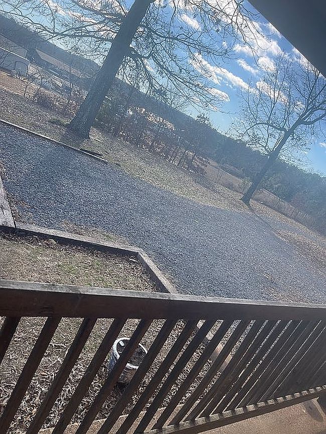 Photo of 56 Narrows Dr, Greers Ferry, AR
