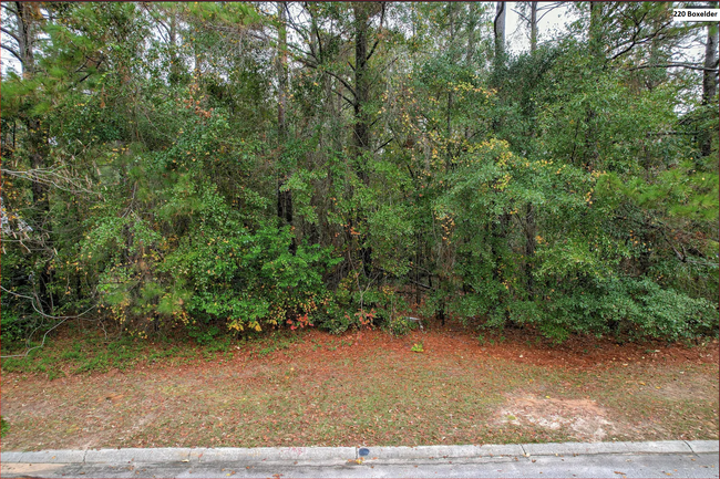 Photo of 220 Boxelder Dr, Aiken, SC