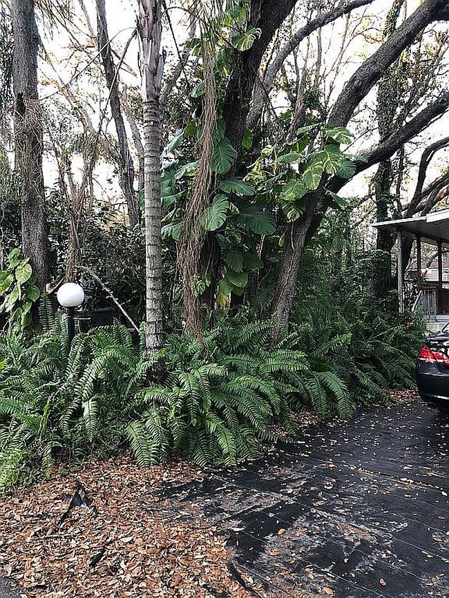 Image of 3000 Clarcona Rd Lot 2620