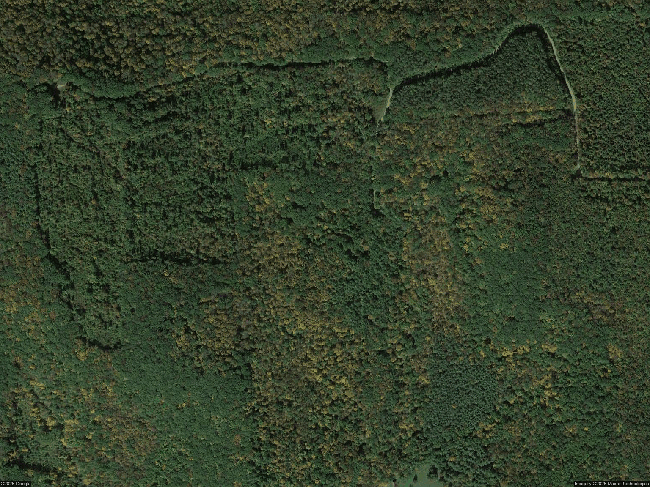 Image of 6899 Stone Rd