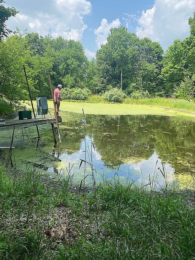 Photo of 4 & 5 Below Rd, Grass Lake, MI