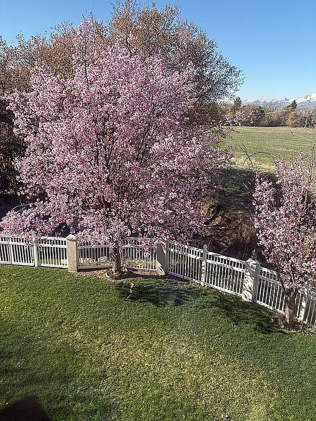 Photo of 1801 N 1700 E, North Logan, UT