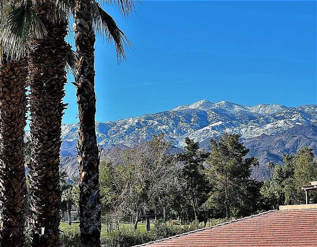 Photo of 45750 San Luis Rey Ave #271, Palm Desert, CA