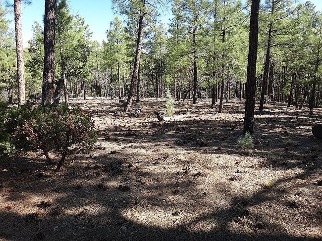 Additional photo 4 of property located at 2200 S Columbine Ct