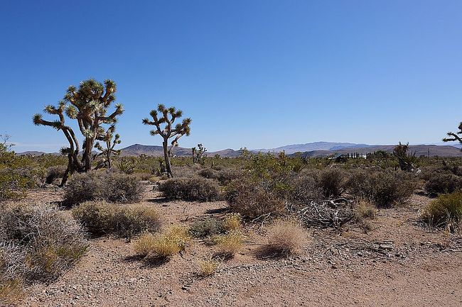 Photo of 8346 W Indian Peak Dr, White Hills, AZ