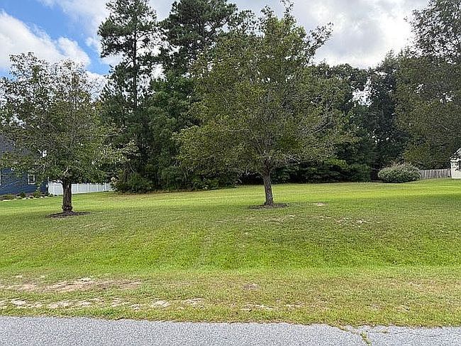 Photo of 197 Carolina Club Dr