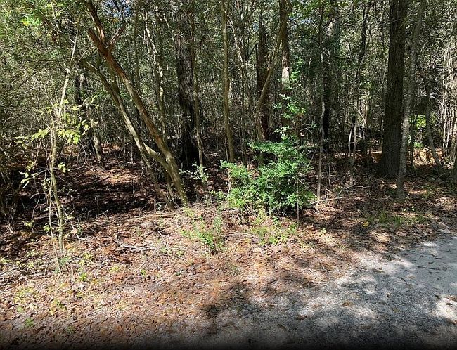 Image of Arborgrove Ln