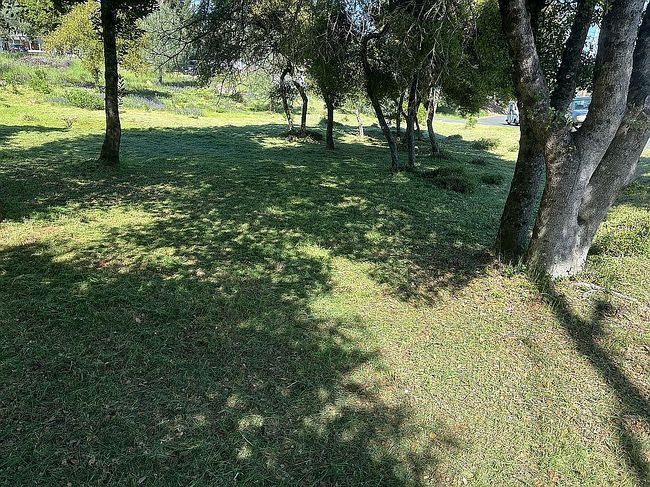 Image of 5299 Tenino Way