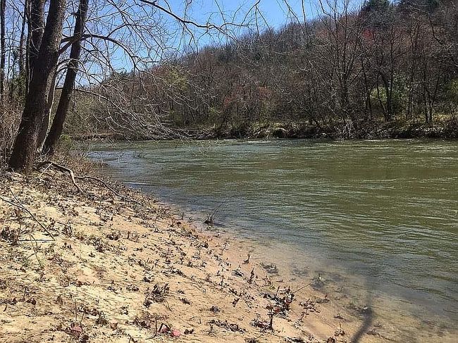 Image of 206 River Mist Rd