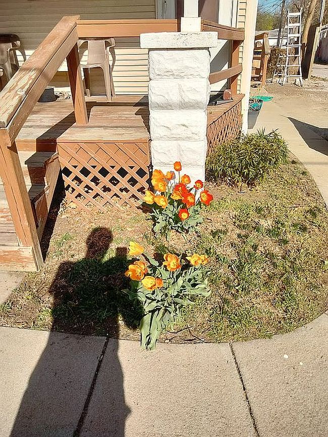 Photo of 4326 N 66th St, Lincoln, NE