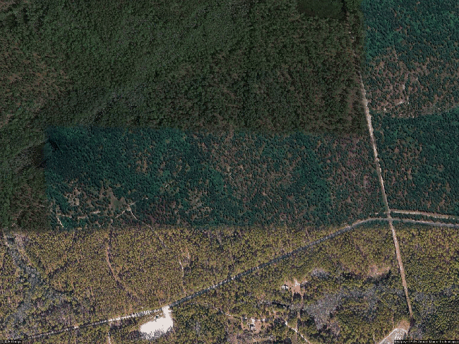 Photo of 650 Pleasant Loop, Fayetteville, NC