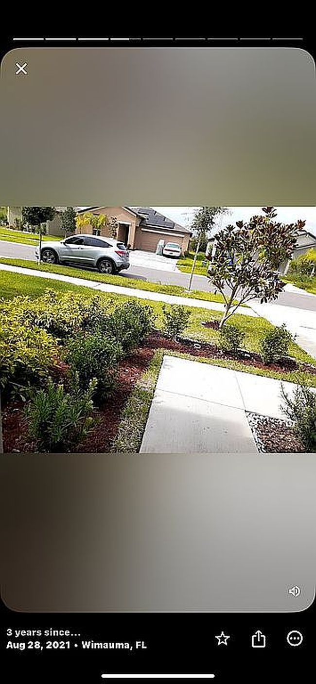 Photo of 10420 Carloway Hills Dr, Wimauma, FL