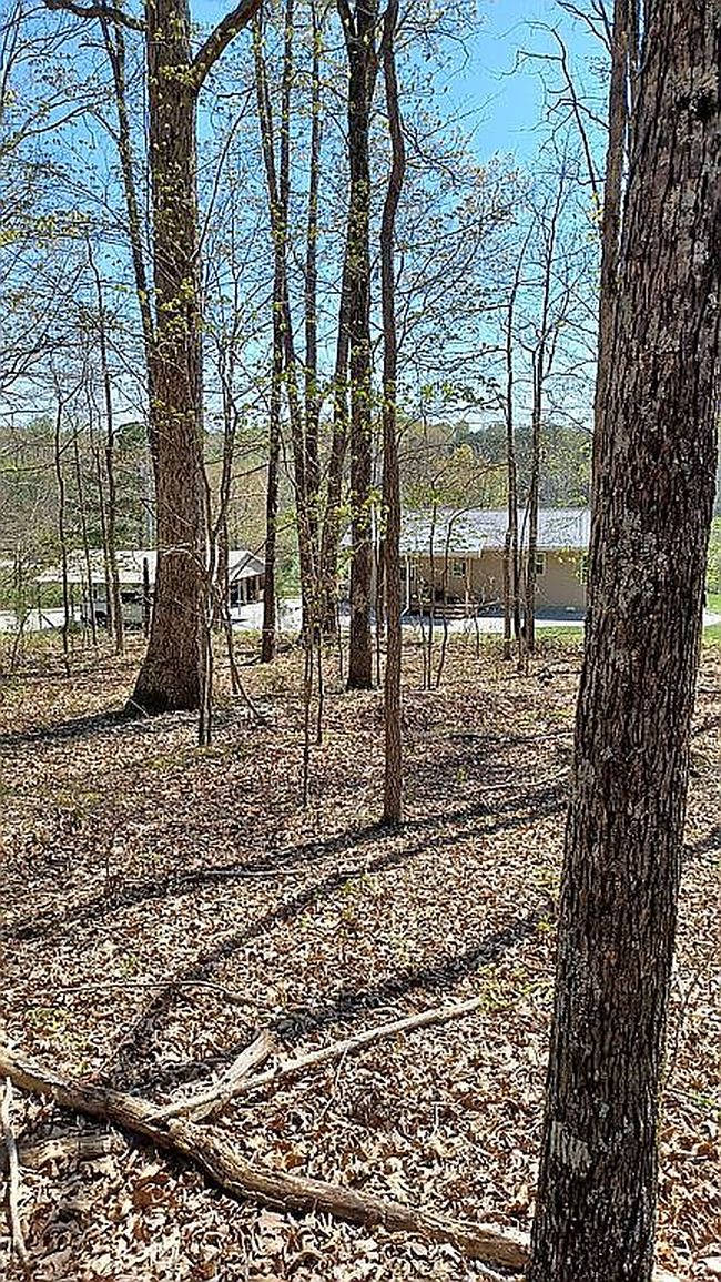 Photo of 959 Herman Adams Rd, Cumberland City, TN