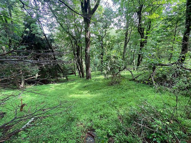 Photo of 475 Winter View Dr, Willis, VA