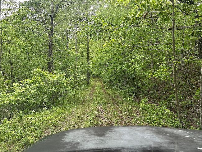 Photo of 740 Little Perry Rd #4, Morehead, KY
