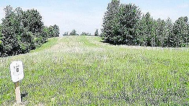 Image of 256 Terrapin Ridge Rd