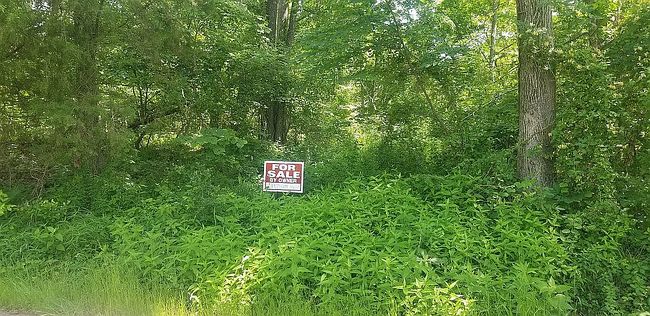 Image of 18753 Paradise Ln Lot 65