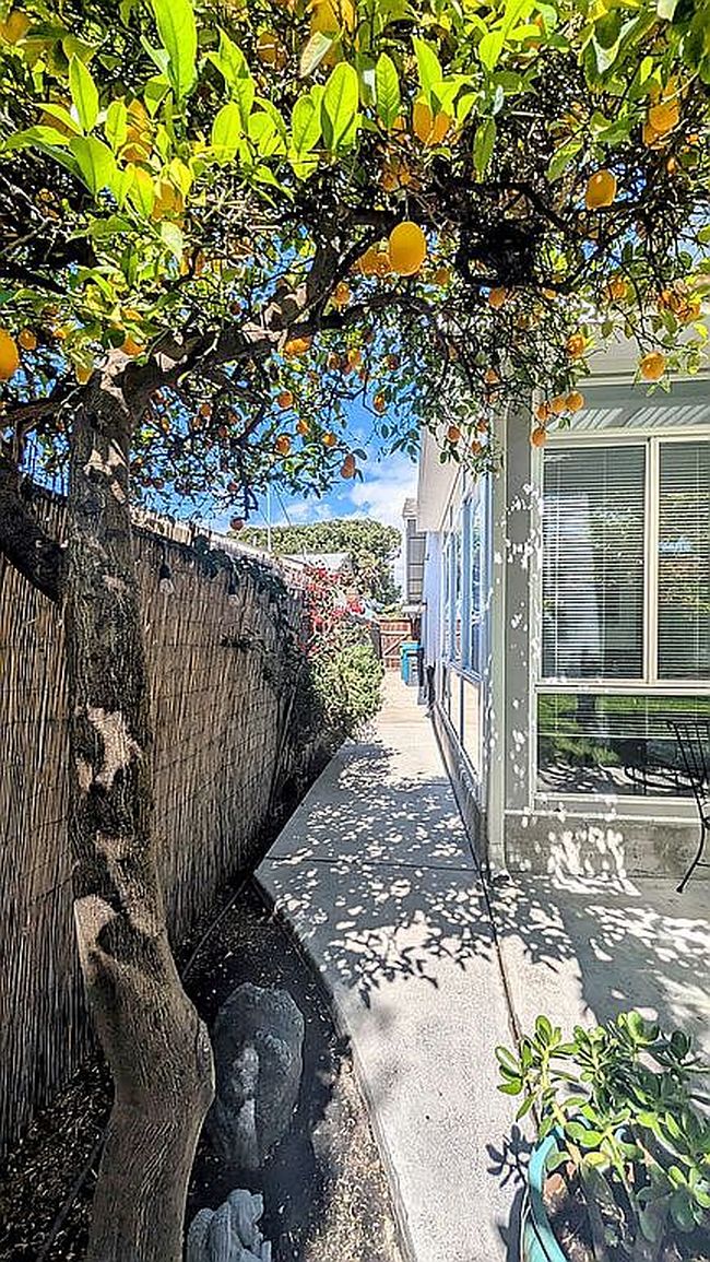 Image of 3600 Macgregor Ln