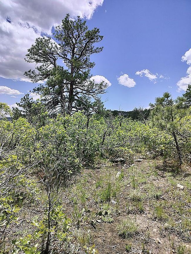 Image of 5608 Cottonwood Dr Lot 49