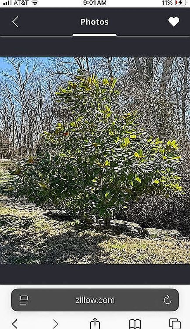 Photo of 4800 Miles Ln, Louisville, KY