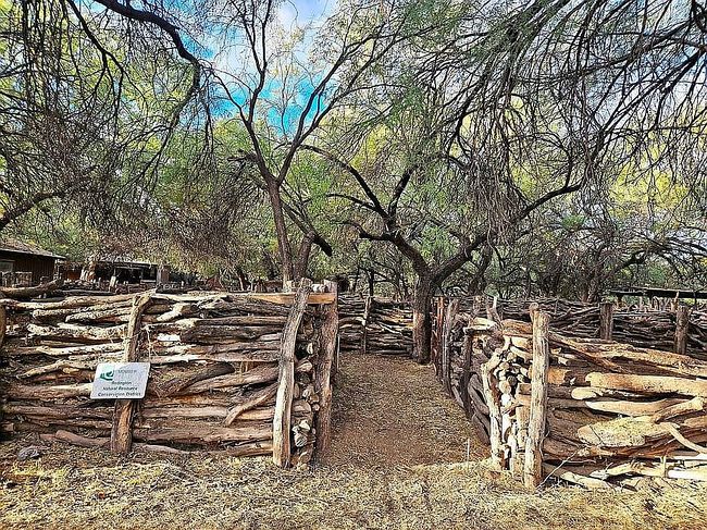 Image of 6200 N Cascabel Rd