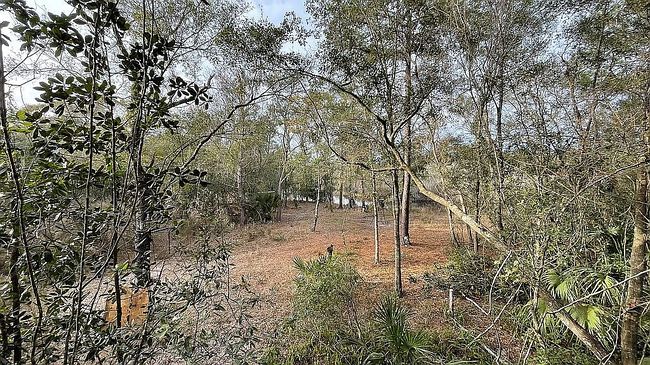 Image of 11573 E Steamboat Dr