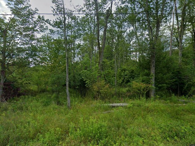 Photo of 16 Kerness Rd, Ellenville, NY