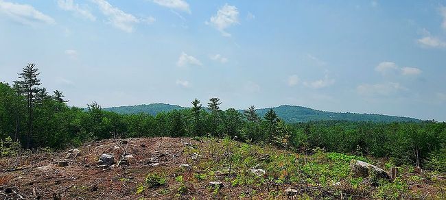 Photo of 620 State Highway 104