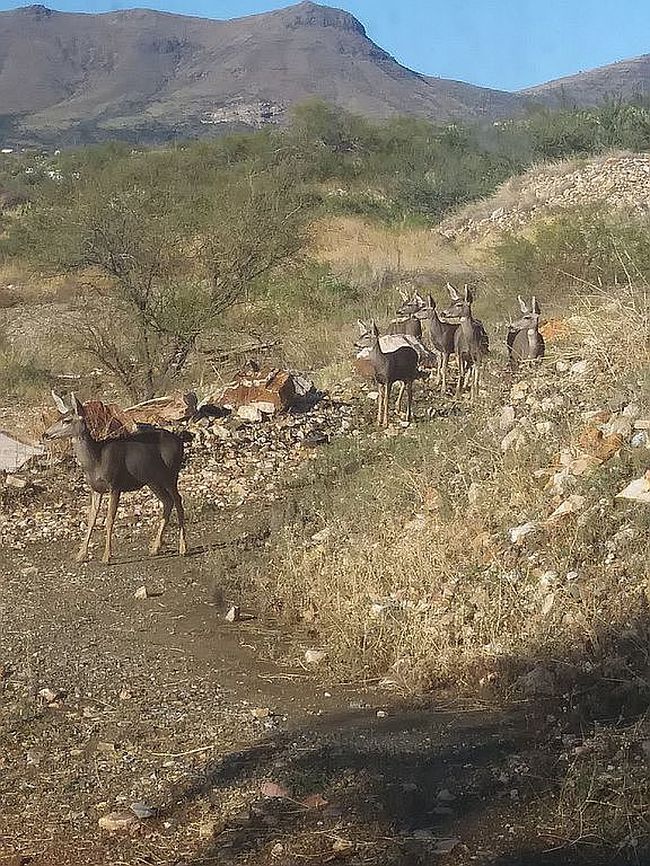 Image of 25795 S Old Stage Rd