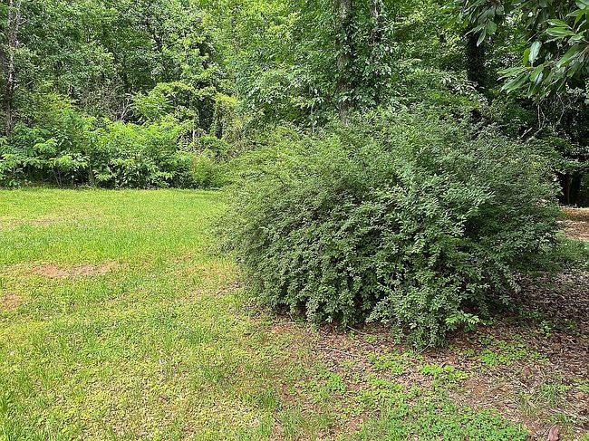 Photo of 0 N Parker Rd, Greenville, SC