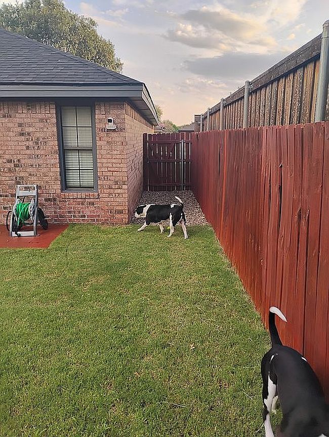 Photo of 5729 91st St, Lubbock, TX