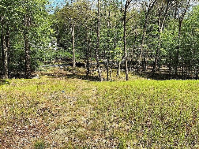 Photo of Blackberry Dr, Milford, PA