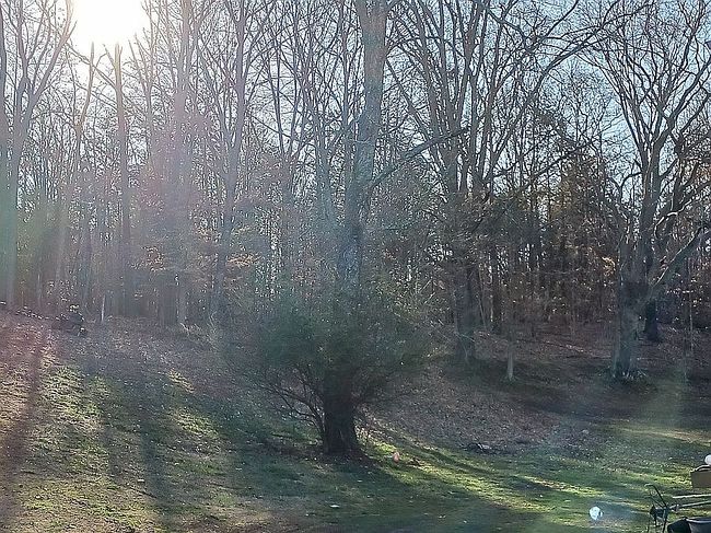 Photo of 183 Austin Dr, Rogersville, TN