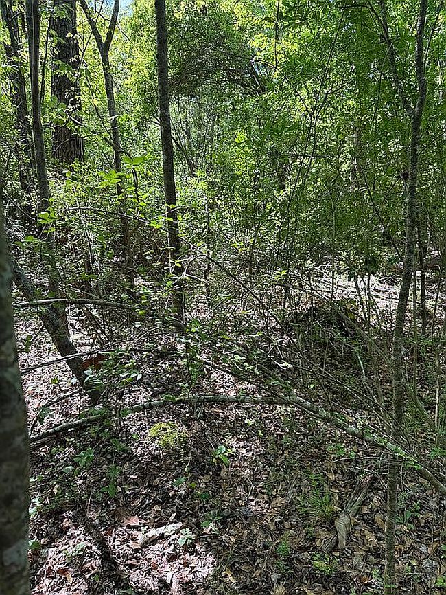 Image of 0 Off Hwy #341