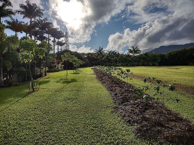 Photo of 5850A Kahiliholo Rd, Kilauea, HI