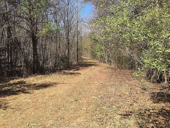 Image of 206 River Mist Rd