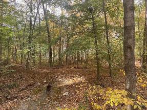 Image of 88 Twin Creek Est