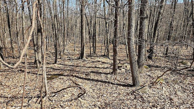 Photo of Eagle Pass Lot 711, Cresco, PA
