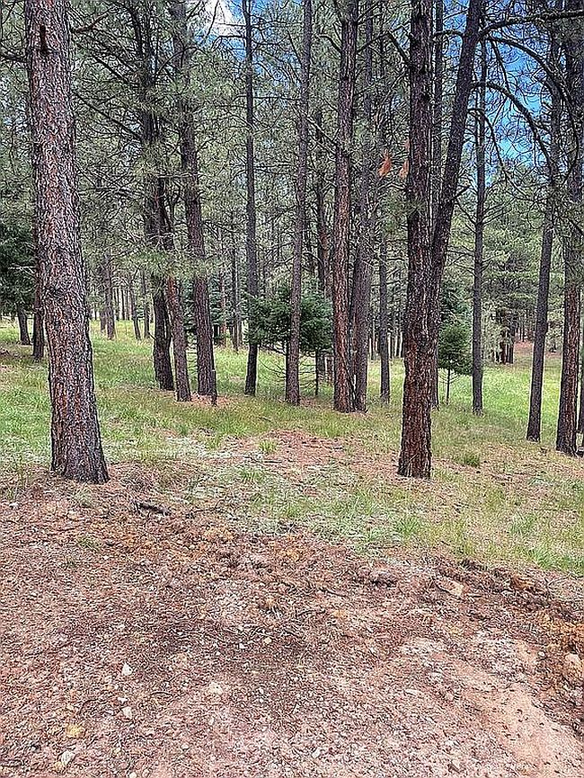 Photo of 0 Calle De Las Palomas #1