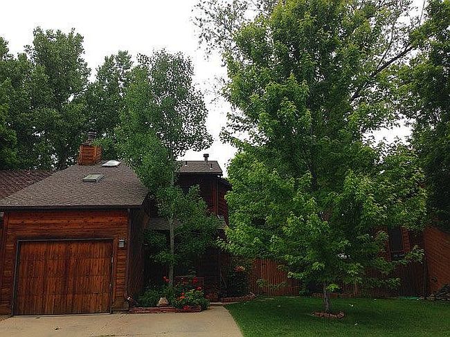 Image of 2639 Juniper Ave