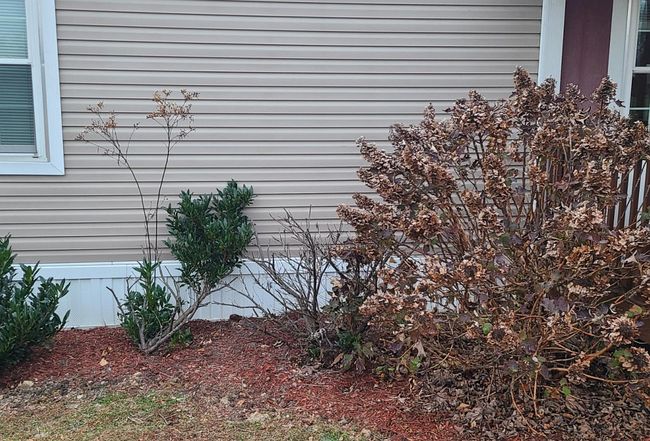 Image of 679 Bert Ridge Rd