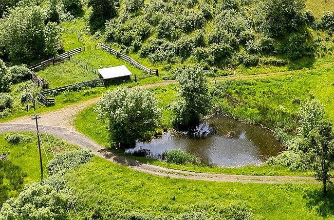 Photo of 787 Buckhorn Rd, Roseburg, OR