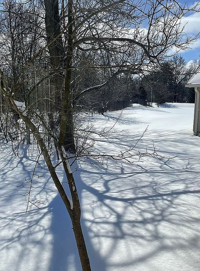 Image of 1104 N Saybrook Ln